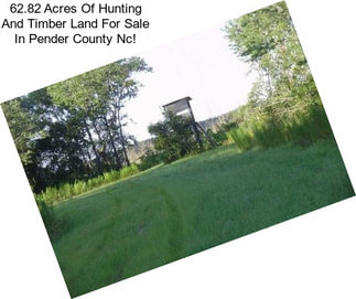 62.82 Acres Of Hunting And Timber Land For Sale In Pender County Nc!