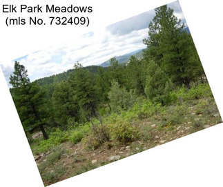 Elk Park Meadows (mls No. 732409)