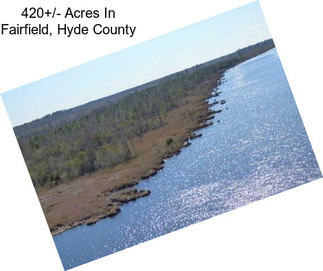 420+/- Acres In Fairfield, Hyde County