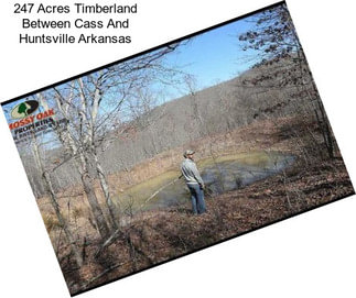 247 Acres Timberland Between Cass And Huntsville Arkansas