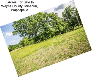 5 Acres For Sale In Wayne County, Missouri, Wappapello