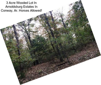 3 Acre Wooded Lot In Arnoldsburg Estates In Conway, Ar. Horses Allowed!