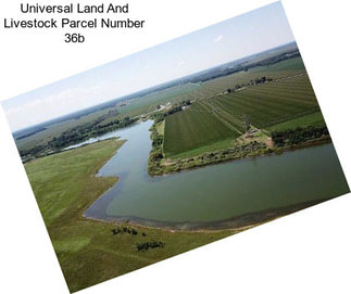 Universal Land And Livestock Parcel Number 36b