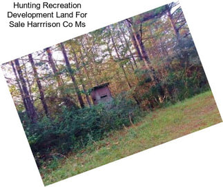 Hunting Recreation Development Land For Sale Harrrison Co Ms