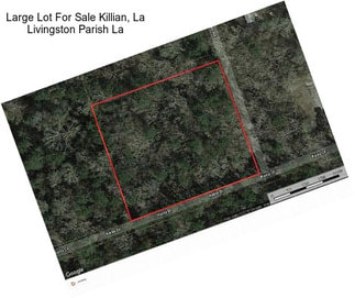 Large Lot For Sale Killian, La Livingston Parish La