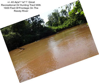 +/- 40 A¢a¬a Great Recreational Or Hunting Tract With 1600 Feet Of Frontage On The Reedy River