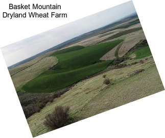 Basket Mountain Dryland Wheat Farm