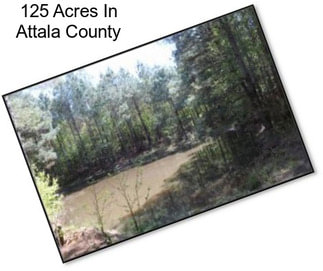 125 Acres In Attala County