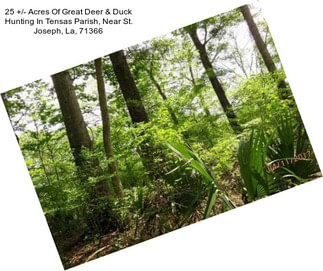 25 +/- Acres Of Great Deer & Duck Hunting In Tensas Parish, Near St. Joseph, La, 71366