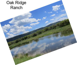 Oak Ridge Ranch