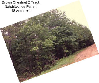 Brown Chestnut 2 Tract, Natchitoches Parish, 18 Acres +/-