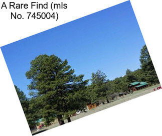 A Rare Find (mls No. 745004)