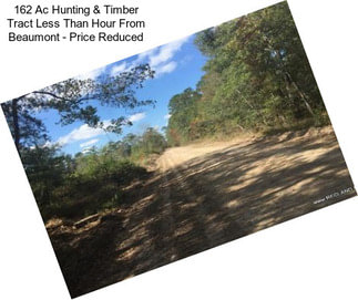 162 Ac Hunting & Timber Tract Less Than Hour From Beaumont - Price Reduced