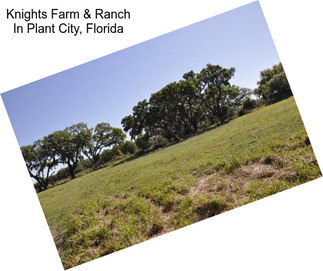 Knights Farm & Ranch In Plant City, Florida