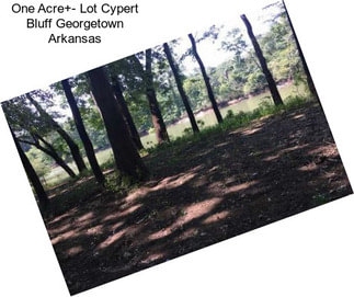 One Acre+- Lot Cypert Bluff Georgetown Arkansas