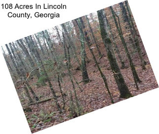 108 Acres In Lincoln County, Georgia