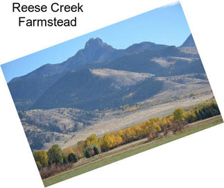 Reese Creek Farmstead