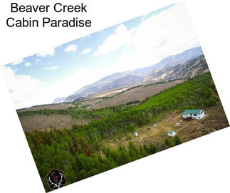 Beaver Creek Cabin Paradise