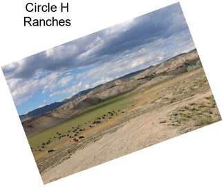 Circle H Ranches