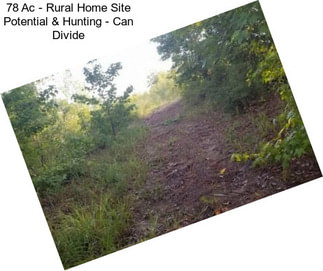 78 Ac - Rural Home Site Potential & Hunting - Can Divide