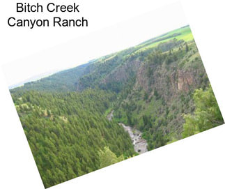 Bitch Creek Canyon Ranch