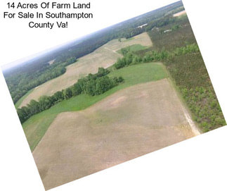 14 Acres Of Farm Land For Sale In Southampton County Va!