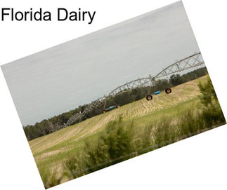 Florida Dairy