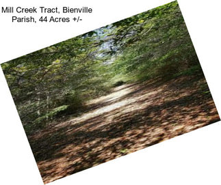 Mill Creek Tract, Bienville Parish, 44 Acres +/-