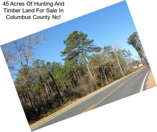 45 Acres Of Hunting And Timber Land For Sale In Columbus County Nc!