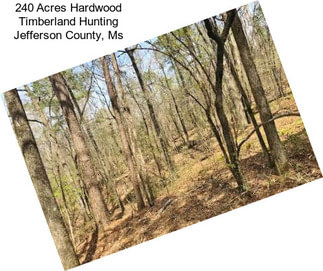 240 Acres Hardwood Timberland Hunting Jefferson County, Ms