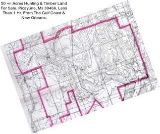 50 +/- Acres Hunting & Timber Land For Sale, Picayune, Ms 39466, Less Than 1 Hr. From The Gulf Coast & New Orleans.