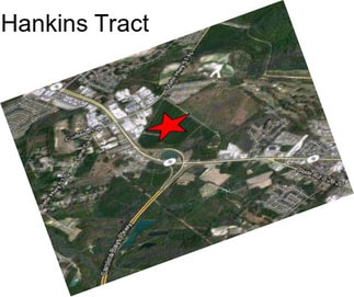 Hankins Tract