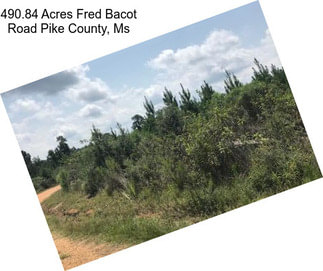 490.84 Acres Fred Bacot Road Pike County, Ms
