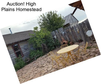 Auction! High Plains Homestead