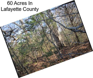 60 Acres In Lafayette County