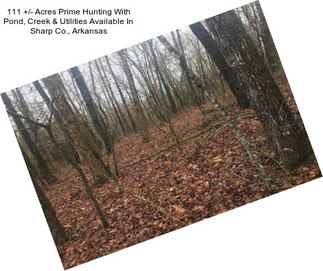 111 +/- Acres Prime Hunting With Pond, Creek & Utilities Available In Sharp Co., Arkansas
