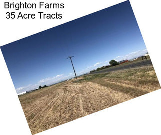 Brighton Farms 35 Acre Tracts