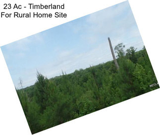 23 Ac - Timberland For Rural Home Site
