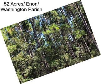 52 Acres/ Enon/ Washington Parish