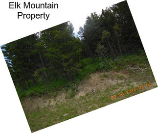 Elk Mountain Property