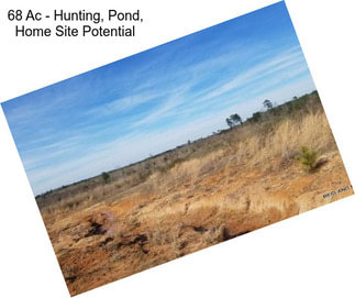 68 Ac - Hunting, Pond, Home Site Potential