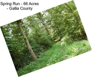 Spring Run - 66 Acres - Gallia County