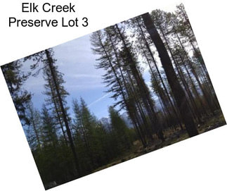 Elk Creek Preserve Lot 3
