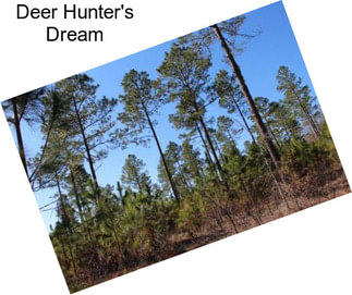 Deer Hunter\'s Dream