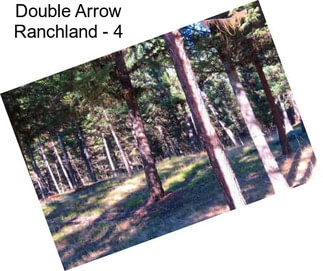 Double Arrow Ranchland - 4