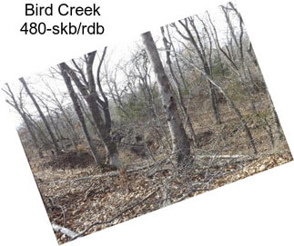 Bird Creek 480-skb/rdb