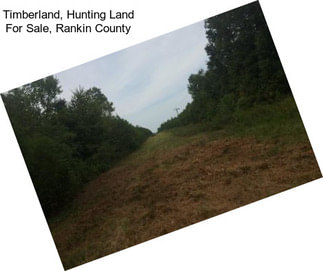 Timberland, Hunting Land For Sale, Rankin County