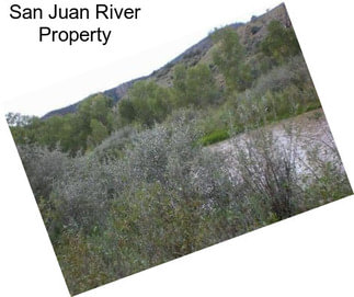 San Juan River Property