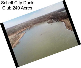 Schell City Duck Club 240 Acres