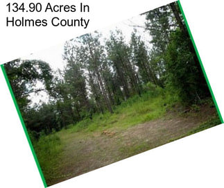 134.90 Acres In Holmes County